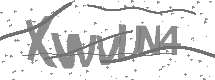 visual captcha